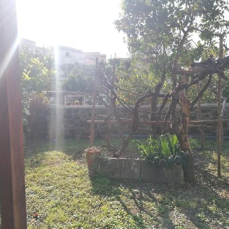 Dimora Coloniale B&B Форио Экстерьер фото